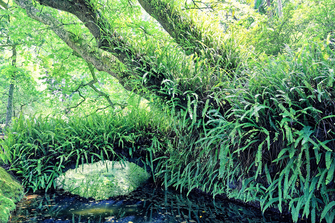 Terra Nostra 04